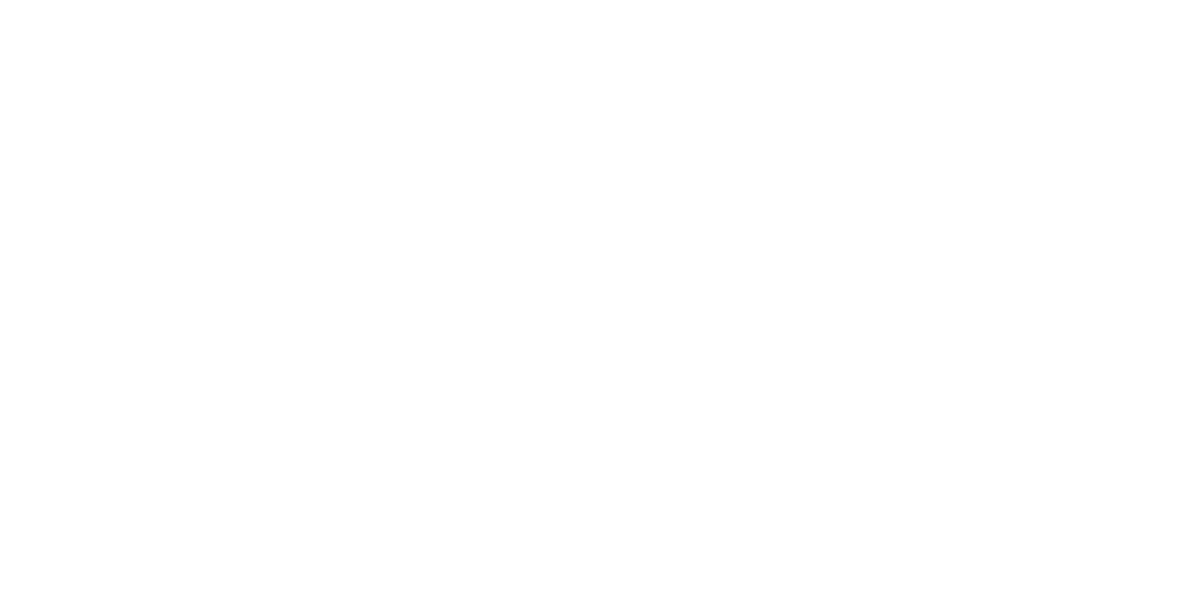 Vicious Pickleball Labs